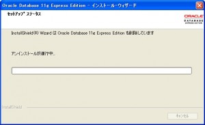 OracleXEuninstall4